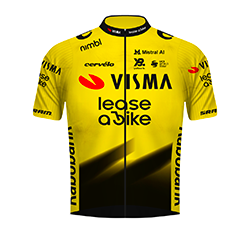 Team Visma - Lease a Bike team jersey
